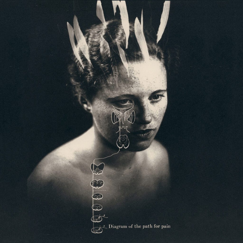 a-smith-gallery-blog-archive-she-a-smith-gallery