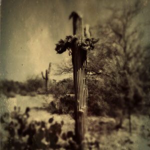 Discovering Your Personal Aesthetic | December 13, 2025 (zoom workshop)